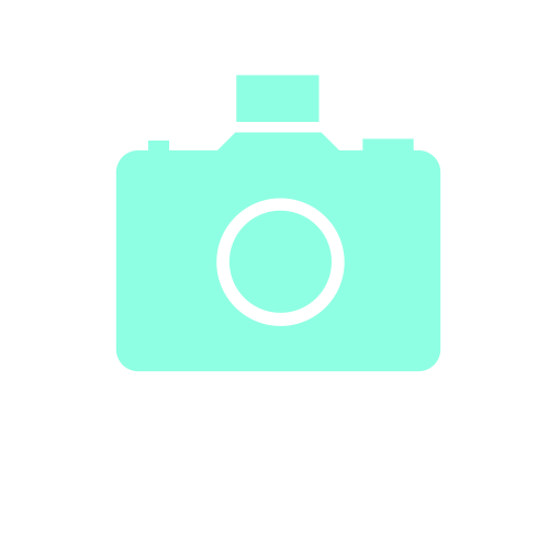 Webicon_foto1.gif