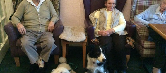 Visit from Marley & Dusty!