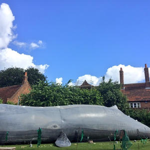 The Whale by CIRCO RUM BABA