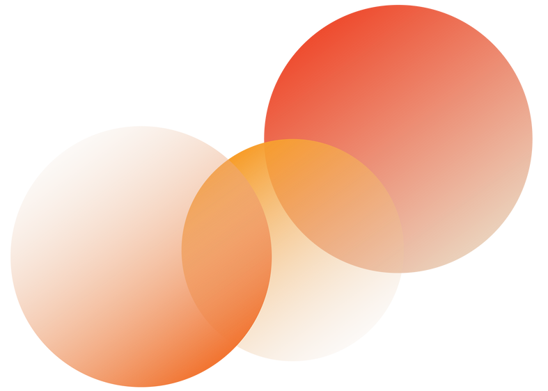 New Personna split circles3Artboard 2_4x.png