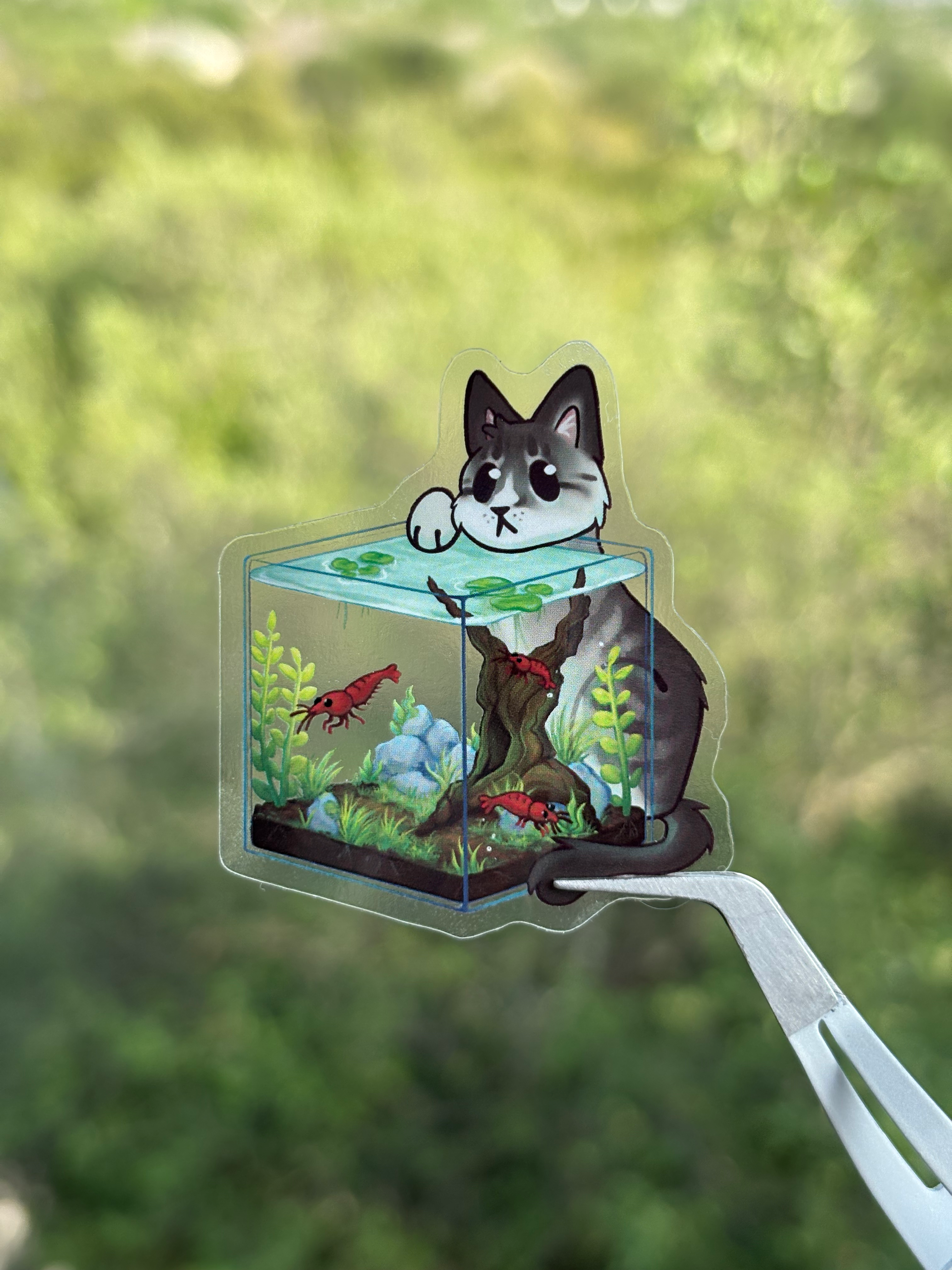 Shrimp Tank - Clear Sticker
