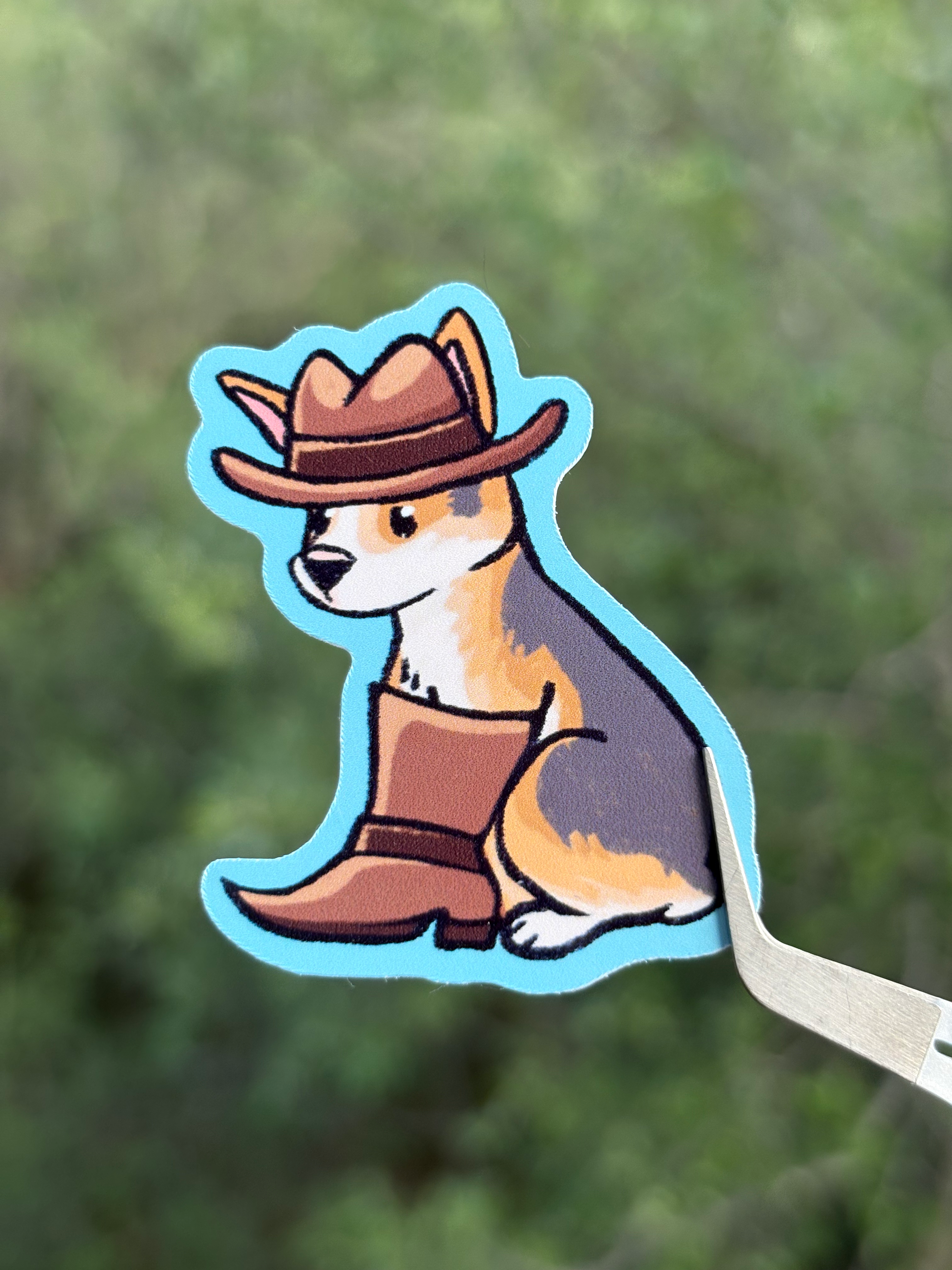 Cowboy Corgi