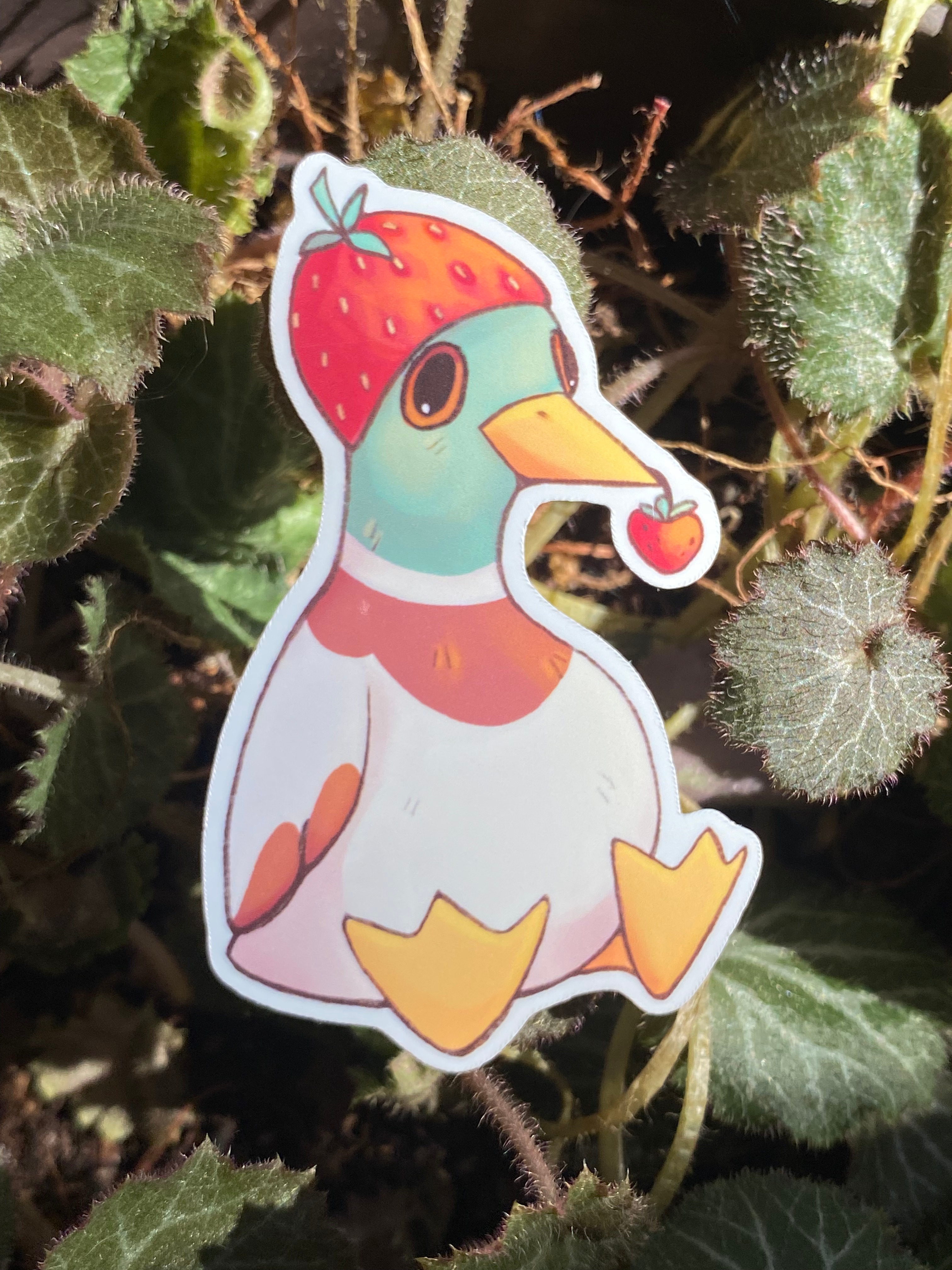 (sitting) Strawberry Ducks - Sticker