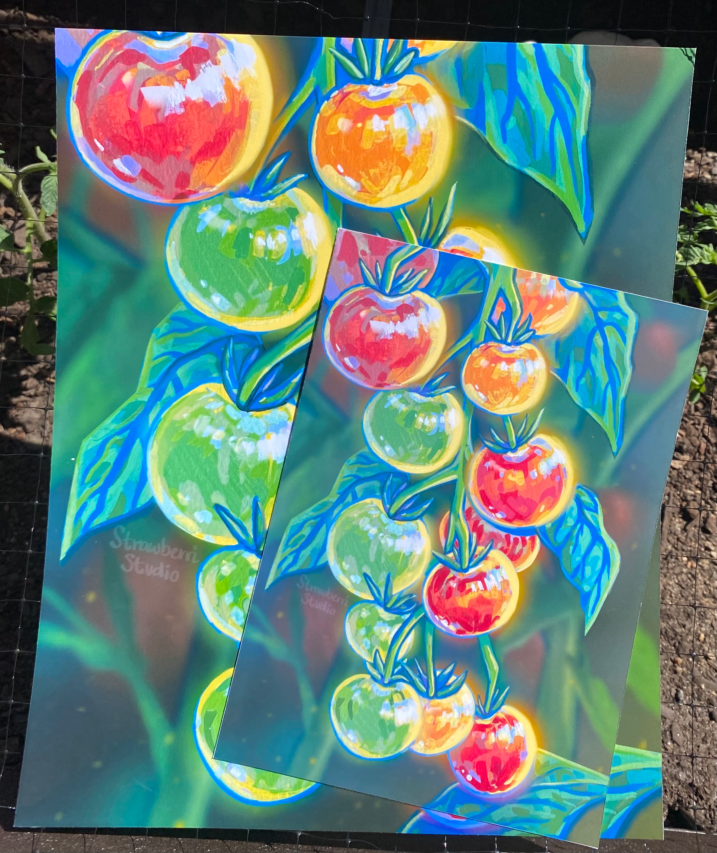 Glistening Tomato's - Print