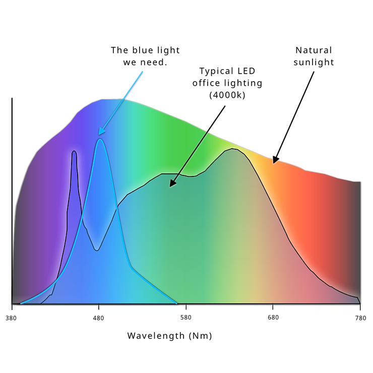 Spectral diagram, melanopic light vs LED
