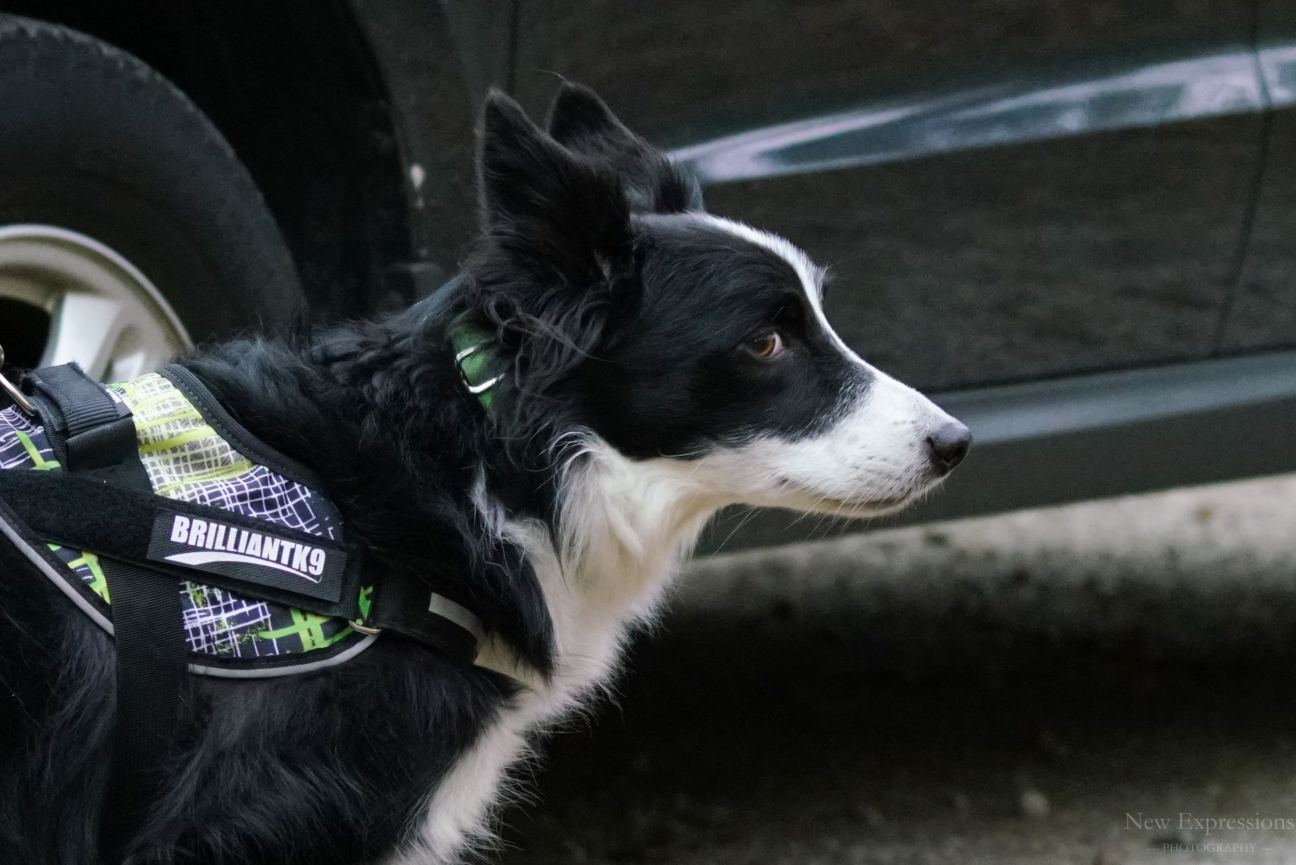 Gunner