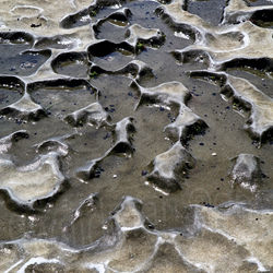Natural Abstract 29