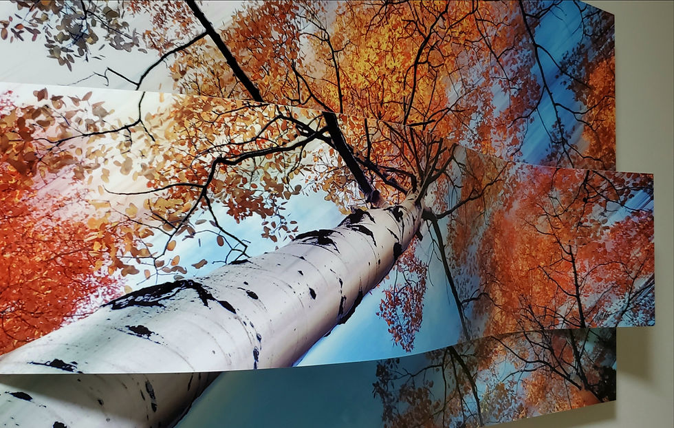 Thumbnail: Autumn Klimt Collage