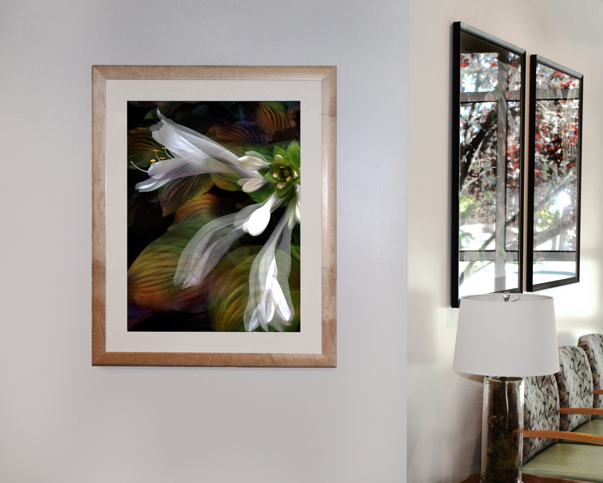 Hosta Interlude