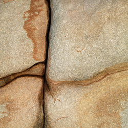 Natural Abstract 11