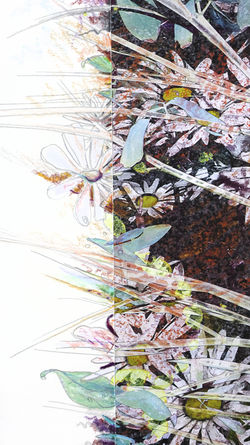 Garden Zest Samba - detail