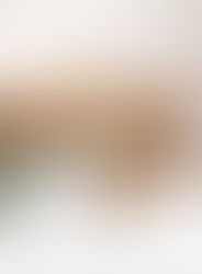 Speculoos Cheesecake Bites