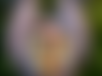 Young Coconut Ceviche