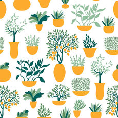 Herbs and Teas for Extra Immune Support