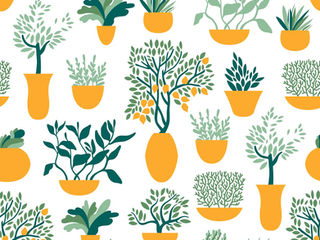 Herbs and Teas for Extra Immune Support