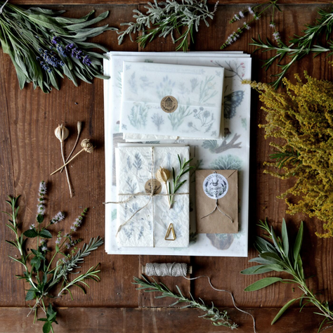 Botanical Wonders Inspired by Flora and Fauna