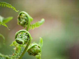 9 Superfoods You Need to Try in 2019