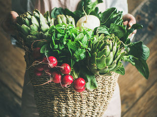 The Benefits of Hemp and Hemp Oil with CBD