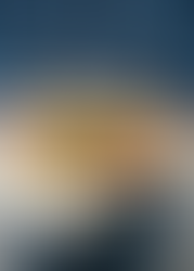 Family-Friendly Veggie Burgers