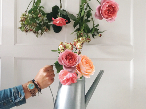 Coffee, Stories, and Slow Living