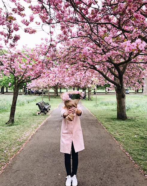 Must-Sees in Malaysia, Kuala Lumpur, Milan & Amsterdam