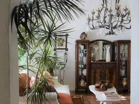 The Evolving Eclectic: Balancing Opposites + Keeping it Positive