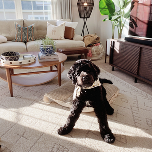 How You Home + Surrounding Yourself with Joy