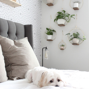 Cozy Transitional Modernism: Clean Lines, Neutral Palettes and Comfort