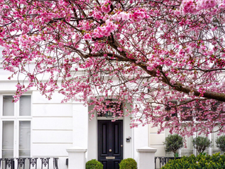 Nottingham and London Charm