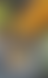 Savory Vegan Shepherd’s Pie