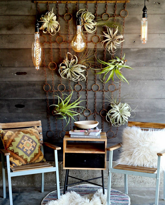 home decor, house plants, design