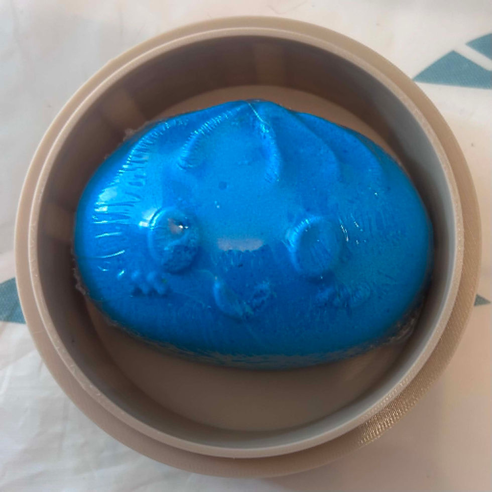 Blue dumpling bath bomb with case