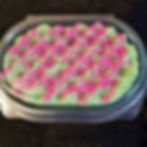 soap sponge