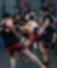 DSC09519-1536x1024.jpg