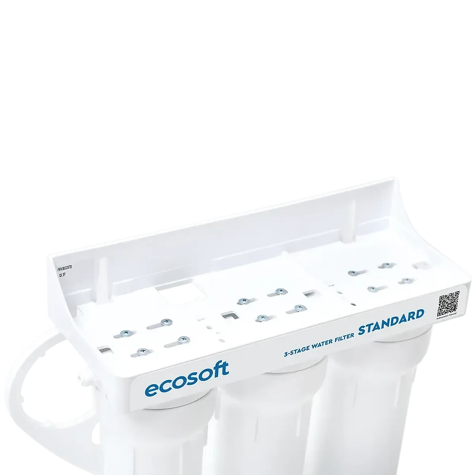 Miniature : STATION ECOSOFT STANDARD 3 étapes