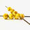 Thumbnail: Fishball Brooch 18mm