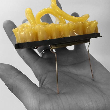 GP Adjusted 4 copy 2.jpg