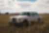 Merc in field.JPG