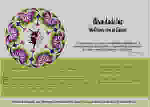 divulgação Cirandadeluz
