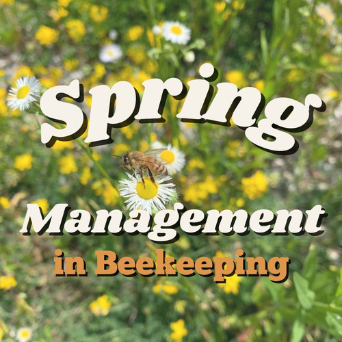Spring Management Recorded Class | Bell Farm