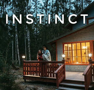 INSTINCT 2.0 VRAI.jpg