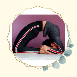 Kapotasana
