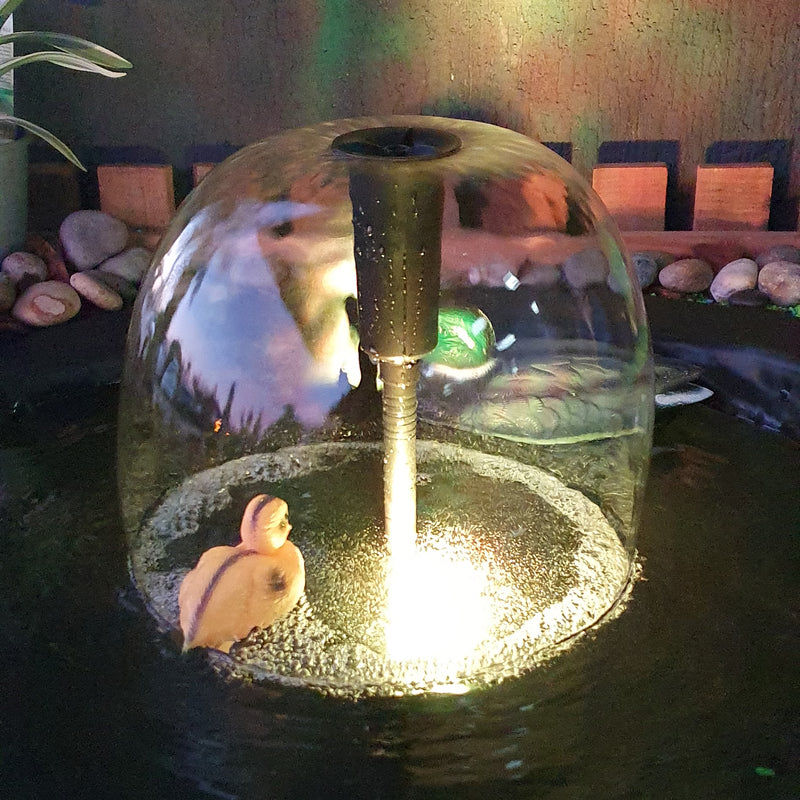 Thumbnail: Multi Colour Light