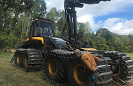 Timber Harvester