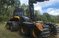 Timber Harvester