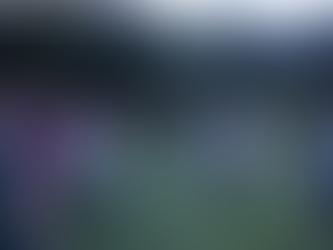 Participant look and listen for bats