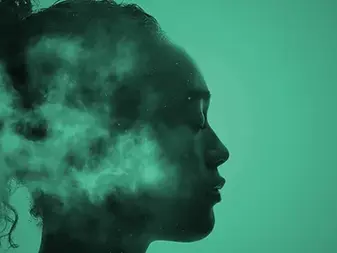 The bitter-sweet fruits of mindfulness - Stages on the contemplative path