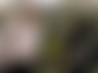 Halász Péterre emlékezünk