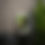 Thumbnail: Becoming