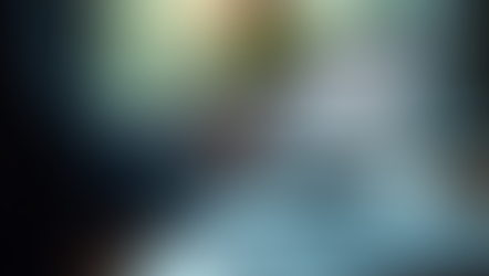 Business owner reviewing financial data for profit analysis